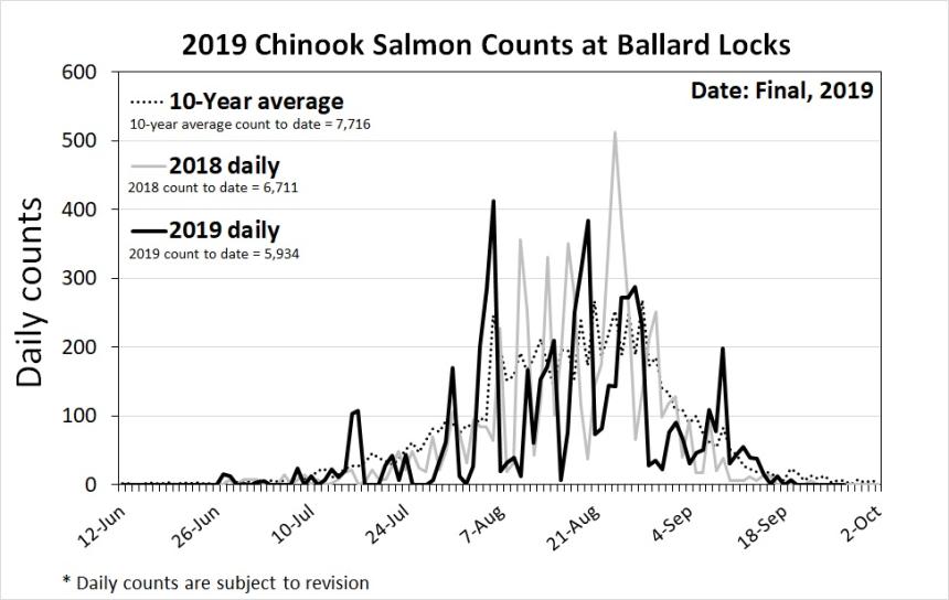 Lake Washington salmon counts Washington Department of Fish & Wildlife